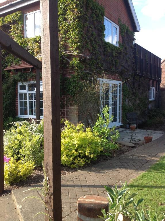 The Summer Room Norwich Exterior photo